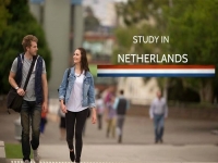 Best things to study in Netherlands