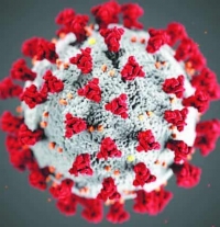 Coronavirus: Everything you need to know about