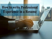 How to write Professional Experience in a Resume