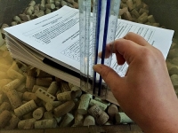 Necessary Documents for Entering France