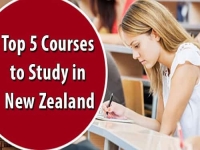 Top 5 Courses to Study in New Zealand