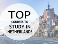 Top courses to study in Netherlands