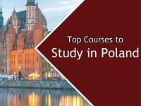 Top courses to study in Poland