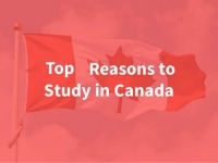Top Reasons to study in Canada!!!