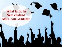 Stay back and Work permit after Study In New Zealand