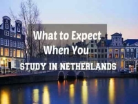 What to Expect When You Study in Netherlands
