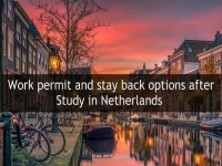 Stay back and Work permit after Study in Netherlands