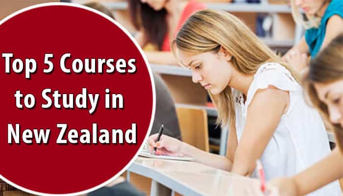 Top 5 Courses to Study in New Zealand