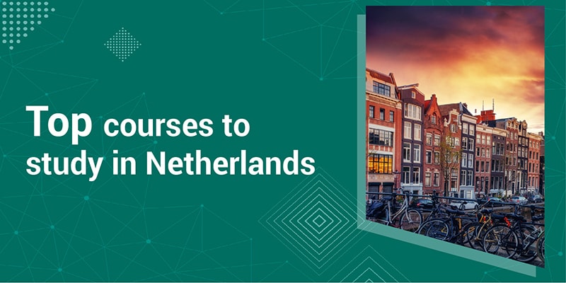 Top courses to study in Netherlands