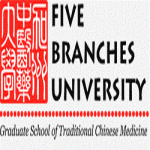 Five Branches University