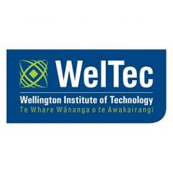 Wellington Institute of Technology